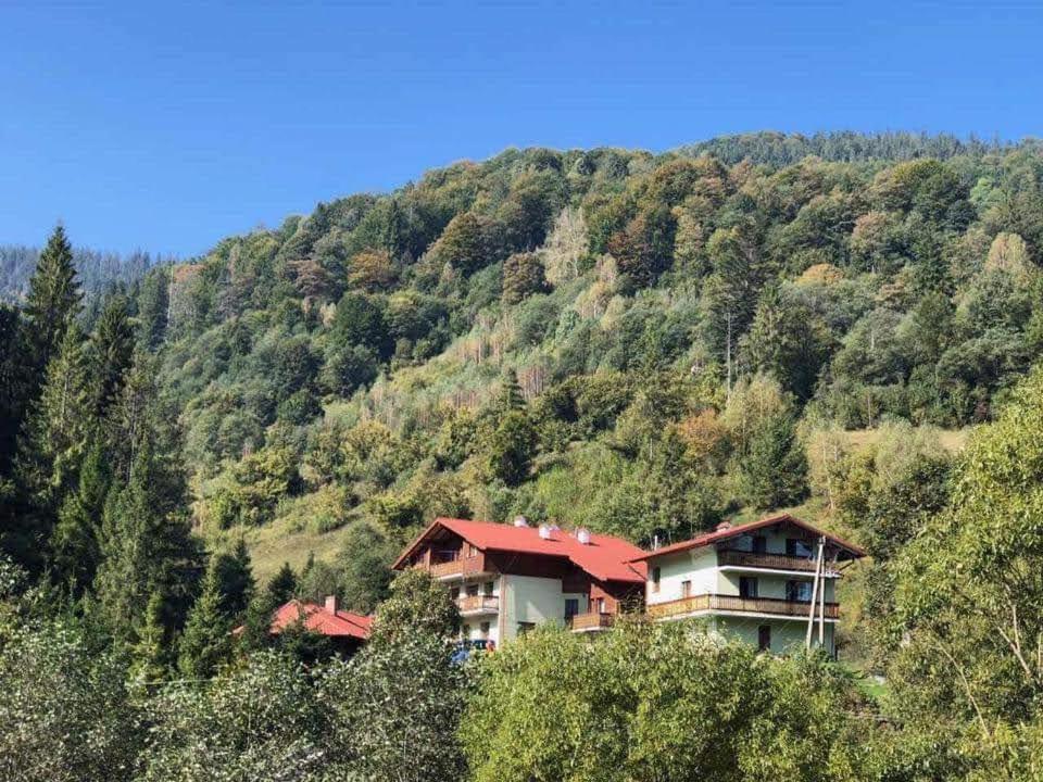 Лісова Казка Hotel Slavsko Exterior foto